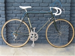 22" Fuji Del Rey Quadruple butted cr-mo 12 speed road bike