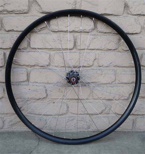 29" Aluminum Disc brake 7 speed rear wheel