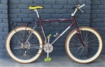 22in Alpina 505 double-butted chromoly all-terrain bicycle